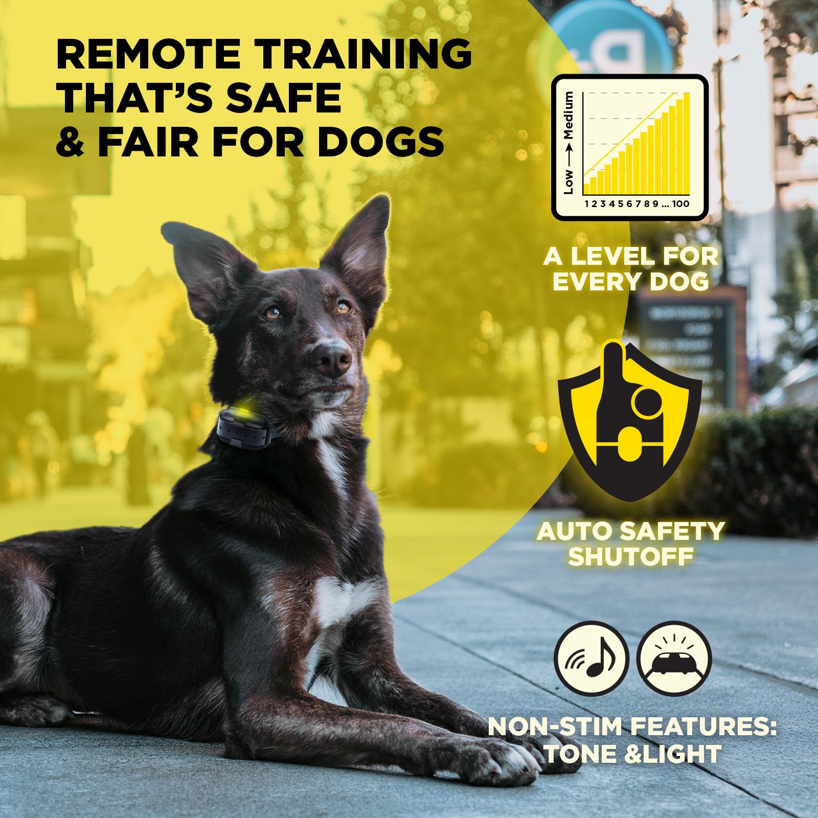 Dogtra 200iQ waterproof IPX9K: ready for rain, mud, and beach adventures.