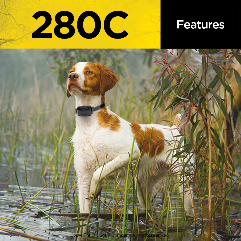 Dogtra 280C retrieval training skills: dog responding to remote guidance.