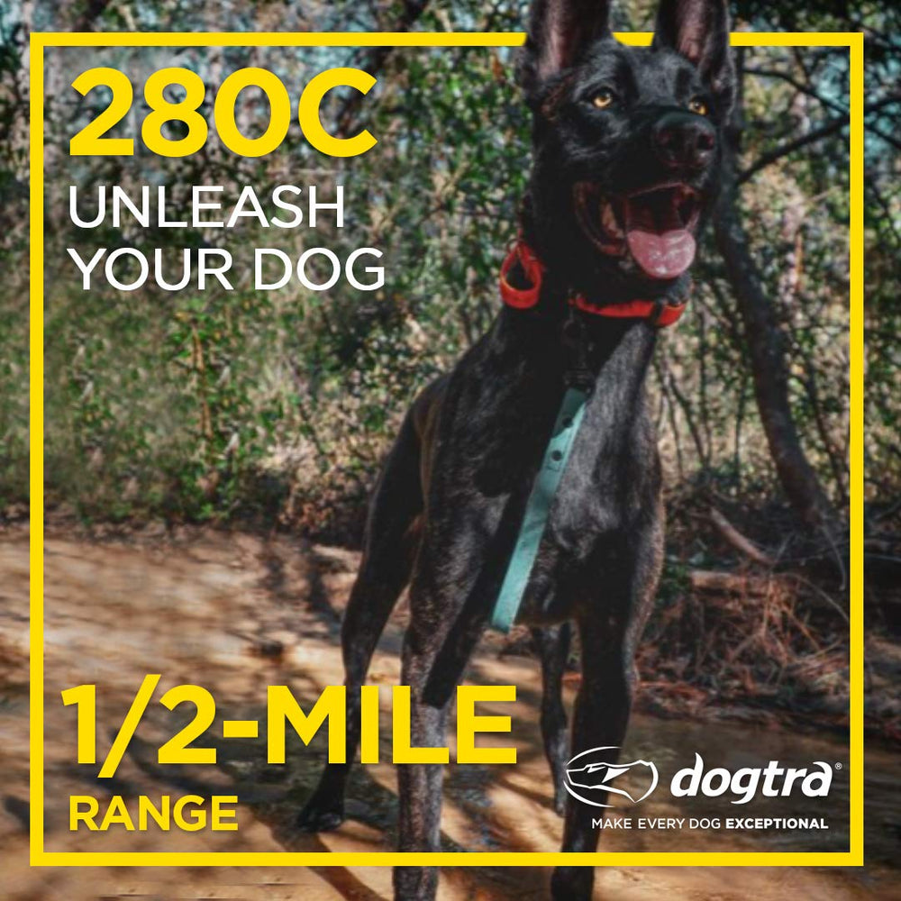 Dogtra 280C small dog 10 lb capability image showing mini size compatibility.