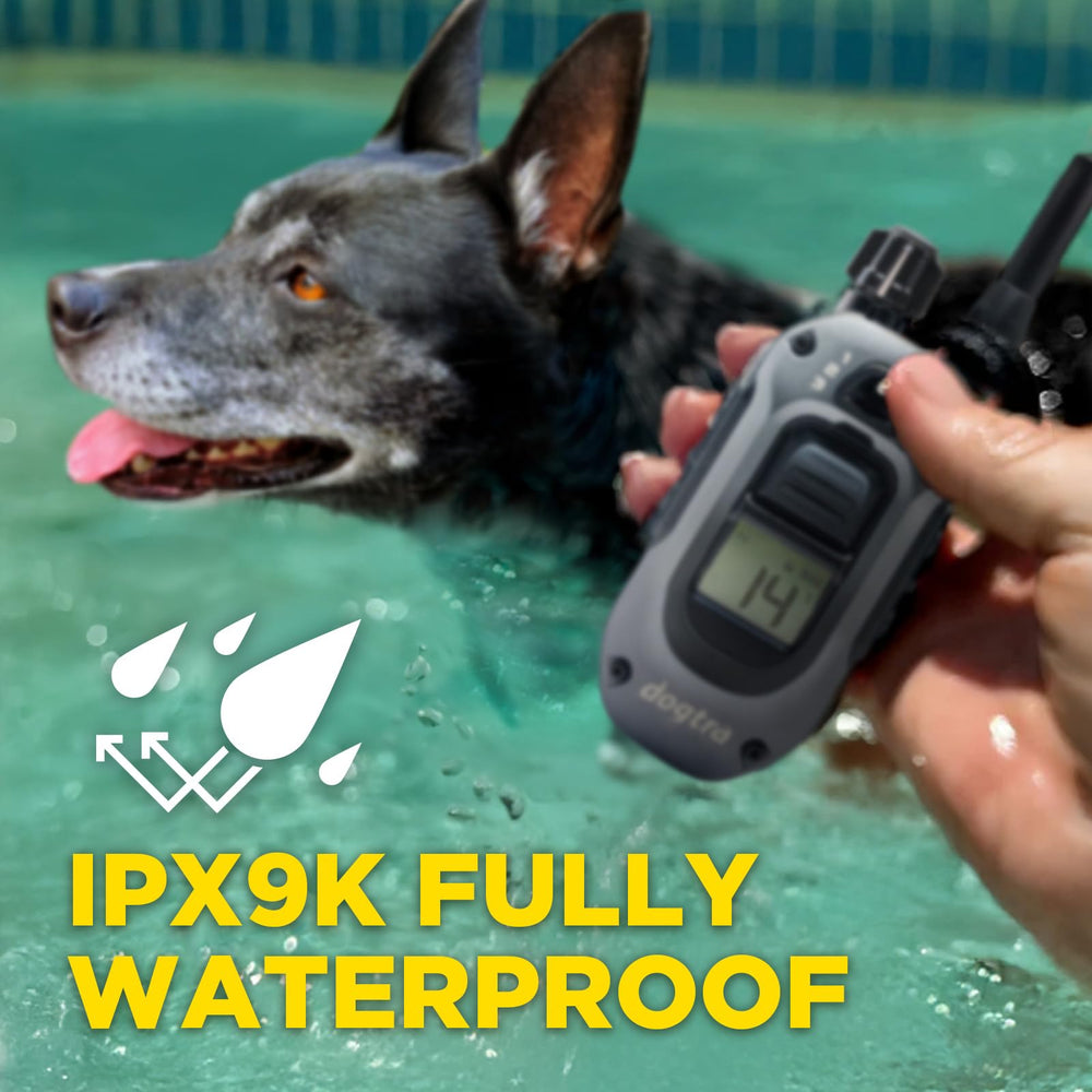 Dogtra 280X waterproof design for beach, trail, and rain training