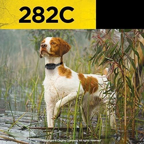 Dogtra 282C half-mile range suitable for basic obedience and field work.