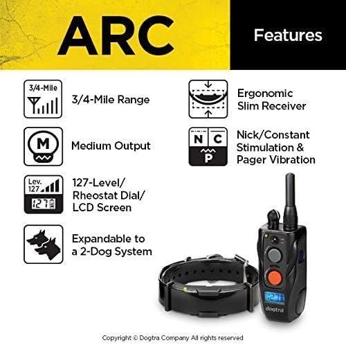 Dogtra ARC Slim remote and dog in action during training session