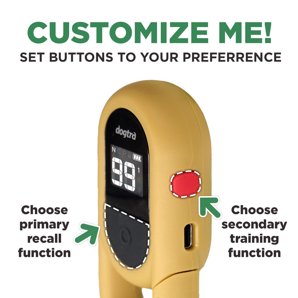 Dogtra CUE Gen 2 tan receiver on dog's neck demonstrates comfortable fit for breeds