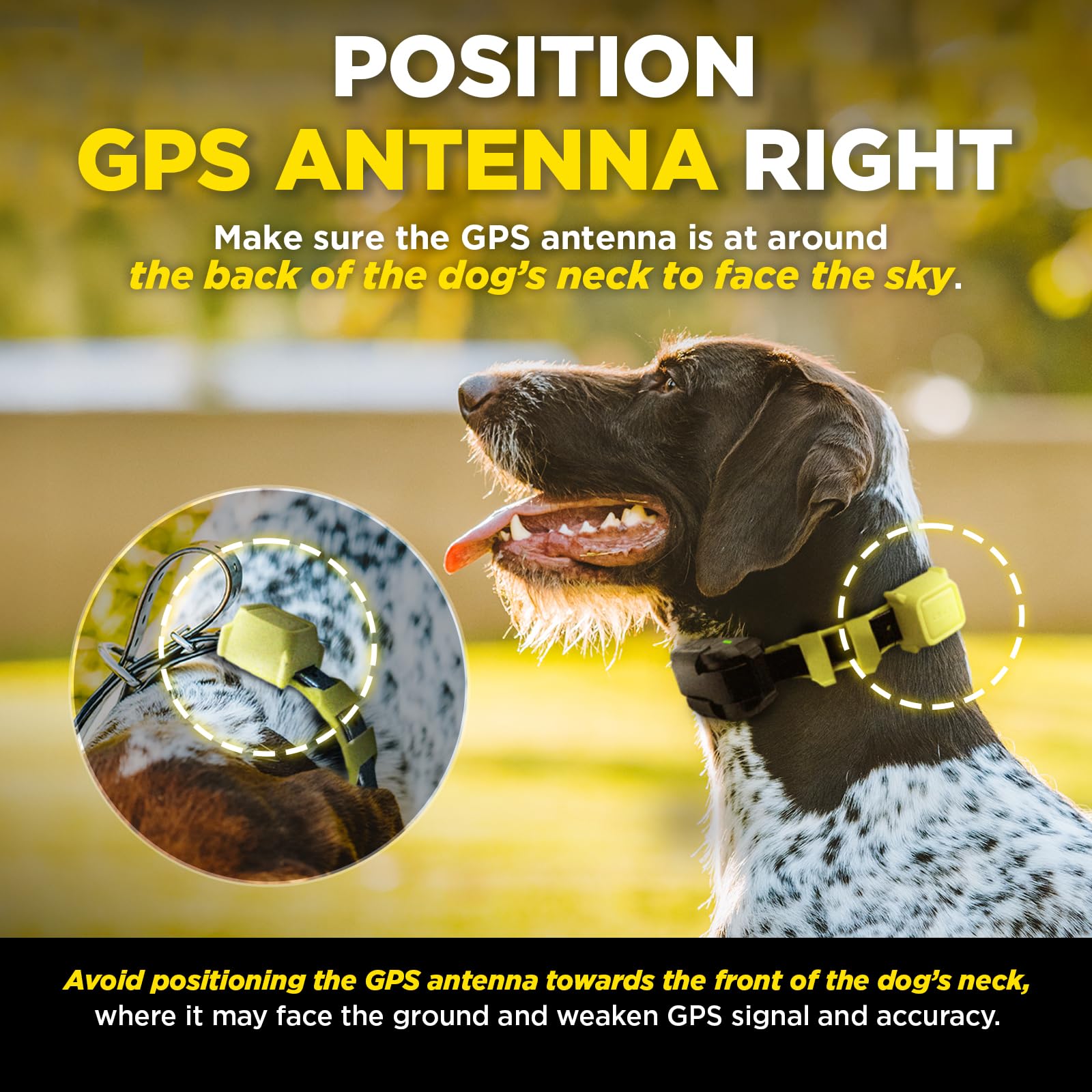 Dogtra GPS Fence rechargeable collar with all-day battery life.