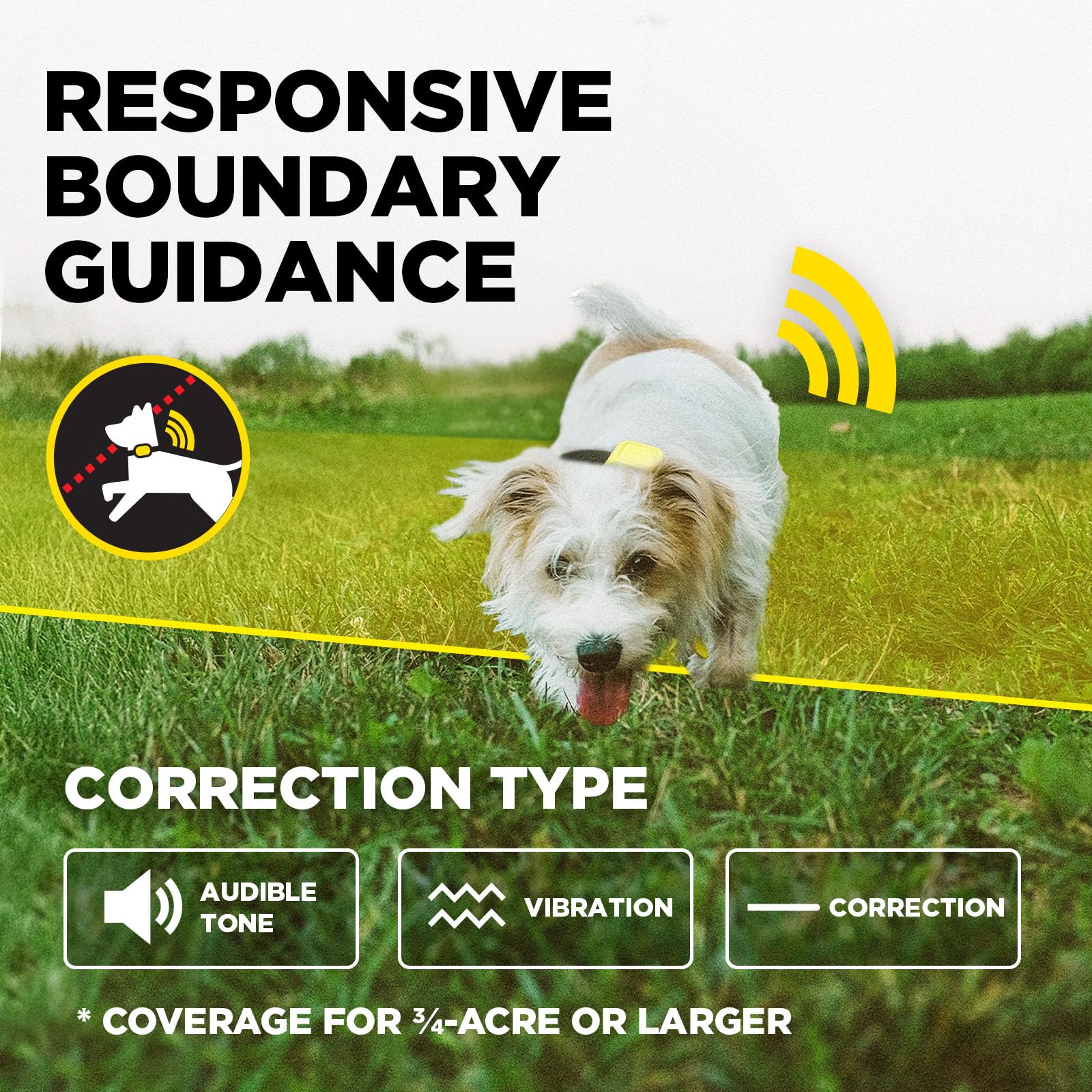 Dogtra support team assisting a customer after purchase.