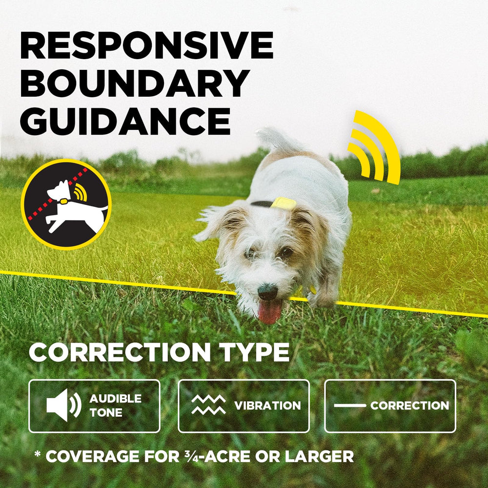 Dogtra support team assisting a customer after purchase.