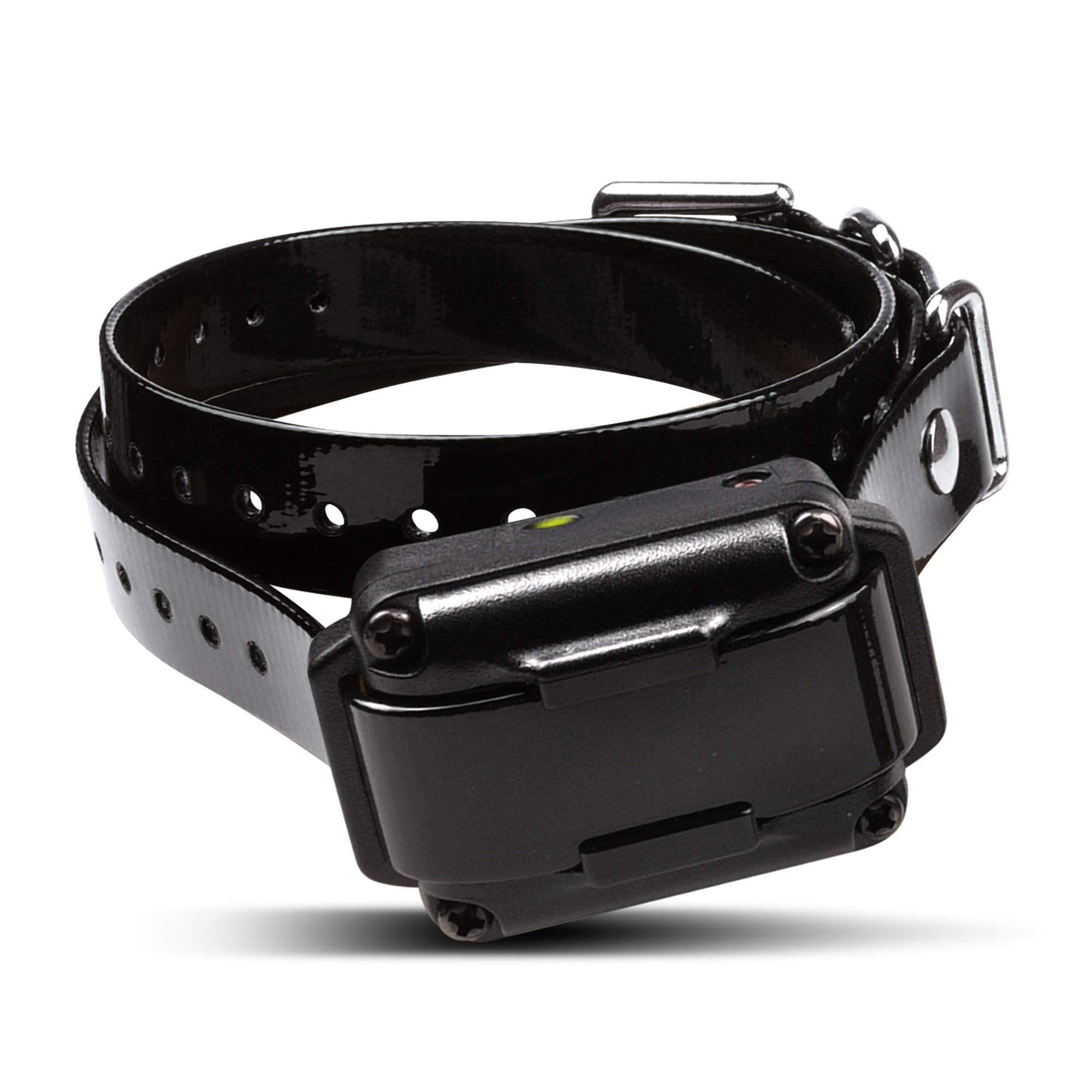 Dogtra iQ Plus highlights 100 correction levels for tailored signals during training