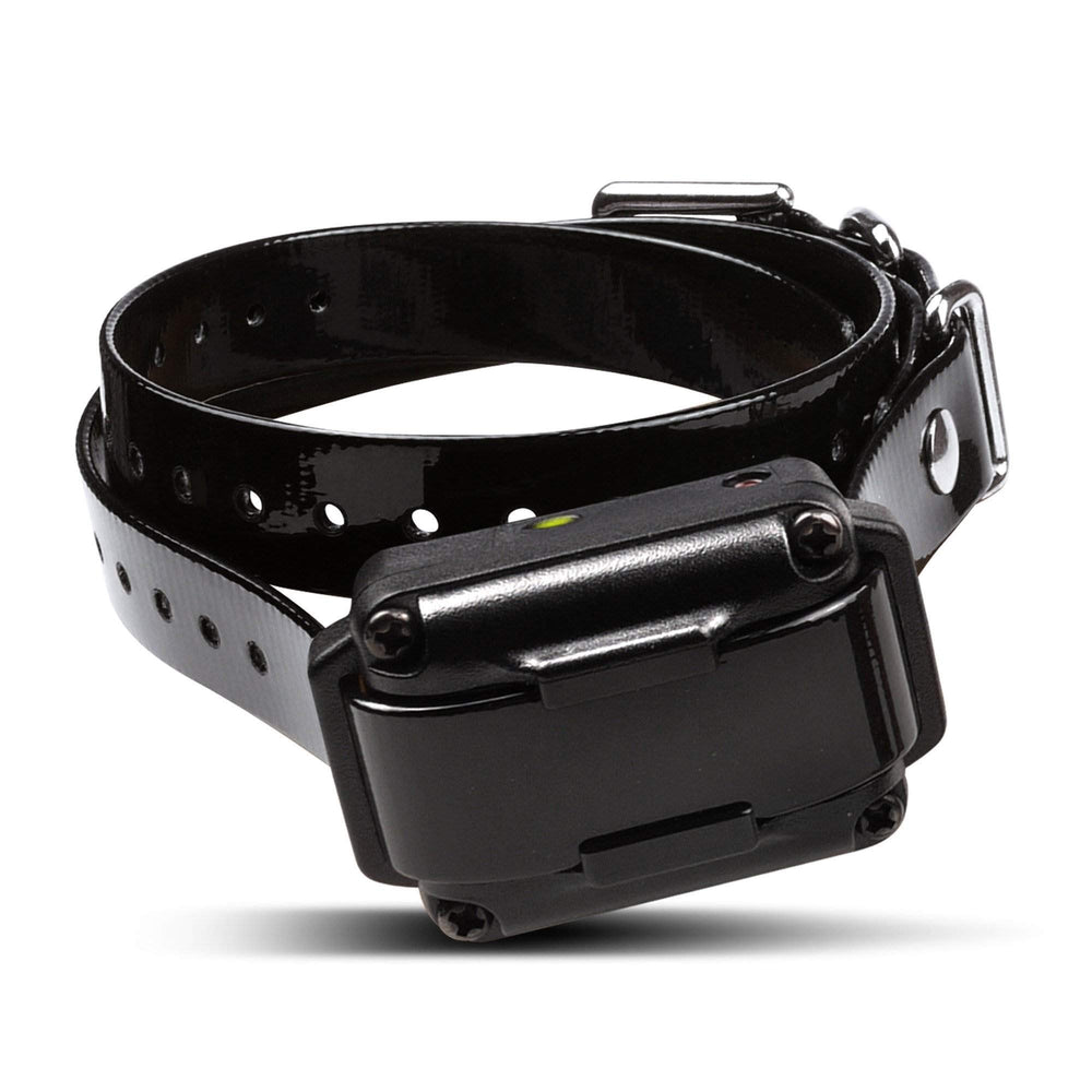 Dogtra iQ Plus highlights 100 correction levels for tailored signals during training