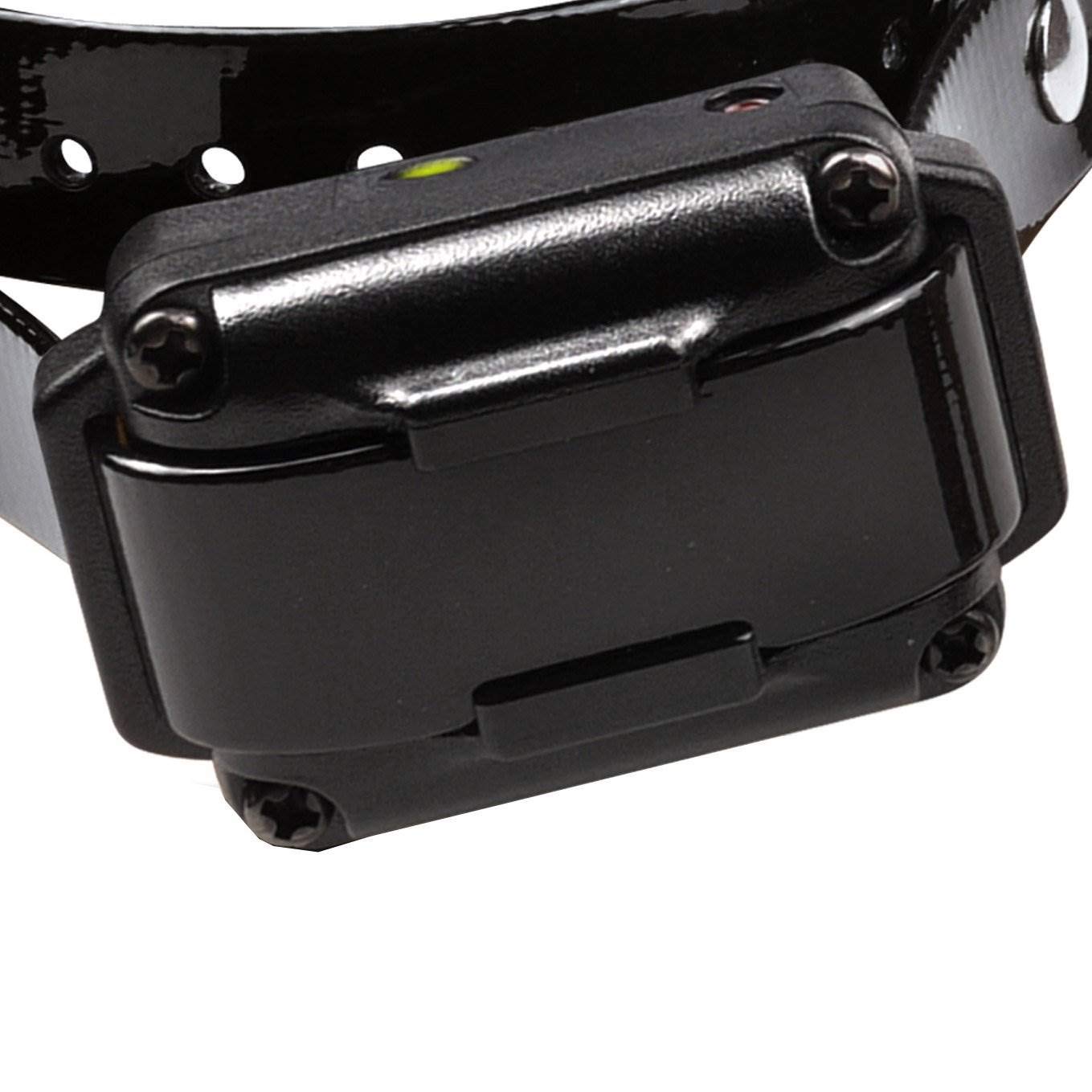 Dogtra iQ Plus assembled in South Korea with US-based support for reliability