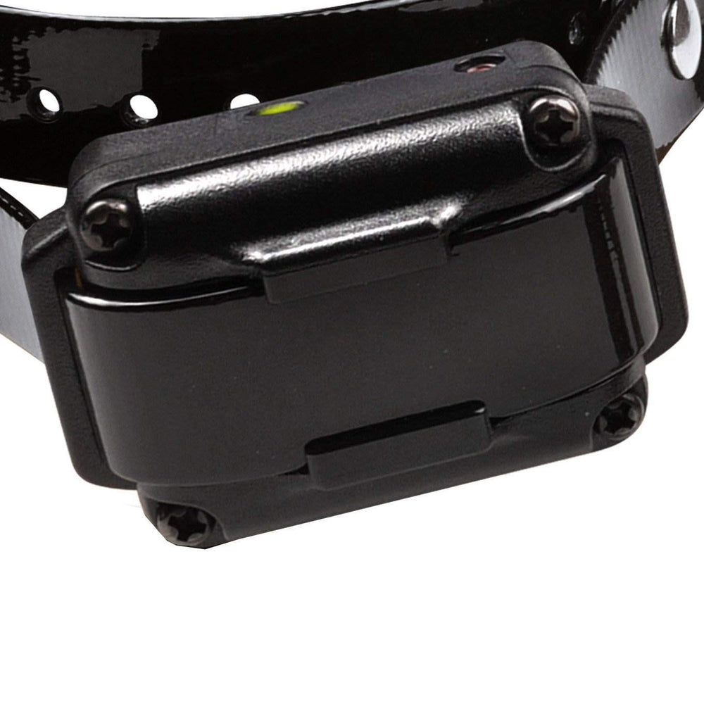 Dogtra iQ Plus assembled in South Korea with US-based support for reliability
