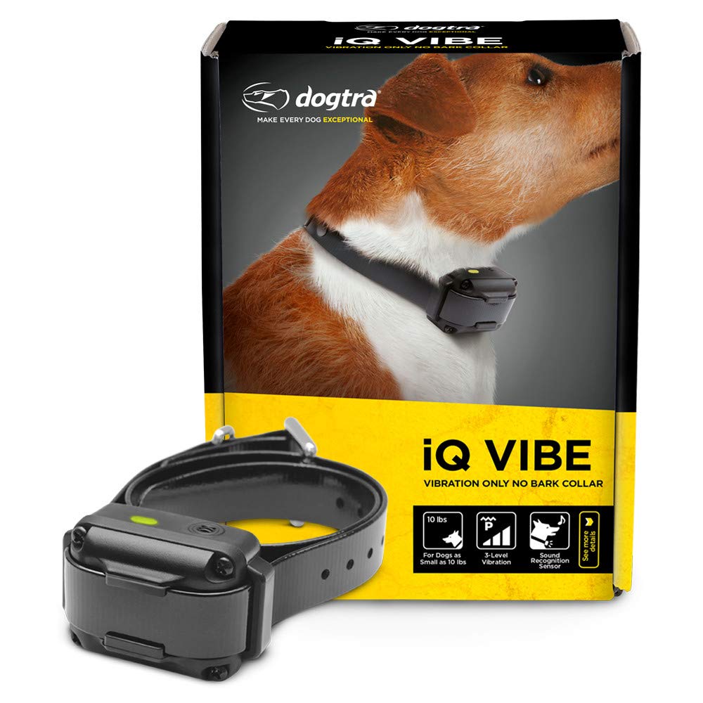 Dogtra iQ Vibe receiver closeup shows compact daily-wear design.