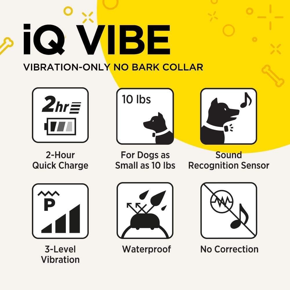 Dogtra iQ Vibe packaging shows compact, travel-ready design.