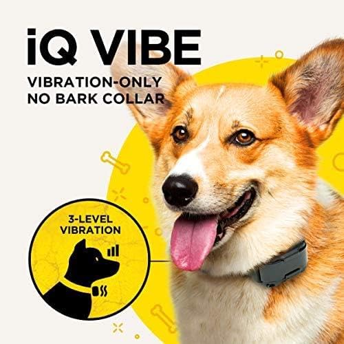 Dogtra iQ Vibe waterproof collar ready for rain and mud.