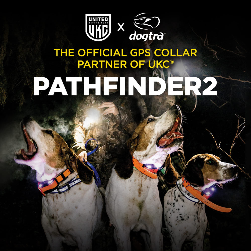 Dogtra PATHFINDER2 multiple correction modes offer precise training feedback options.