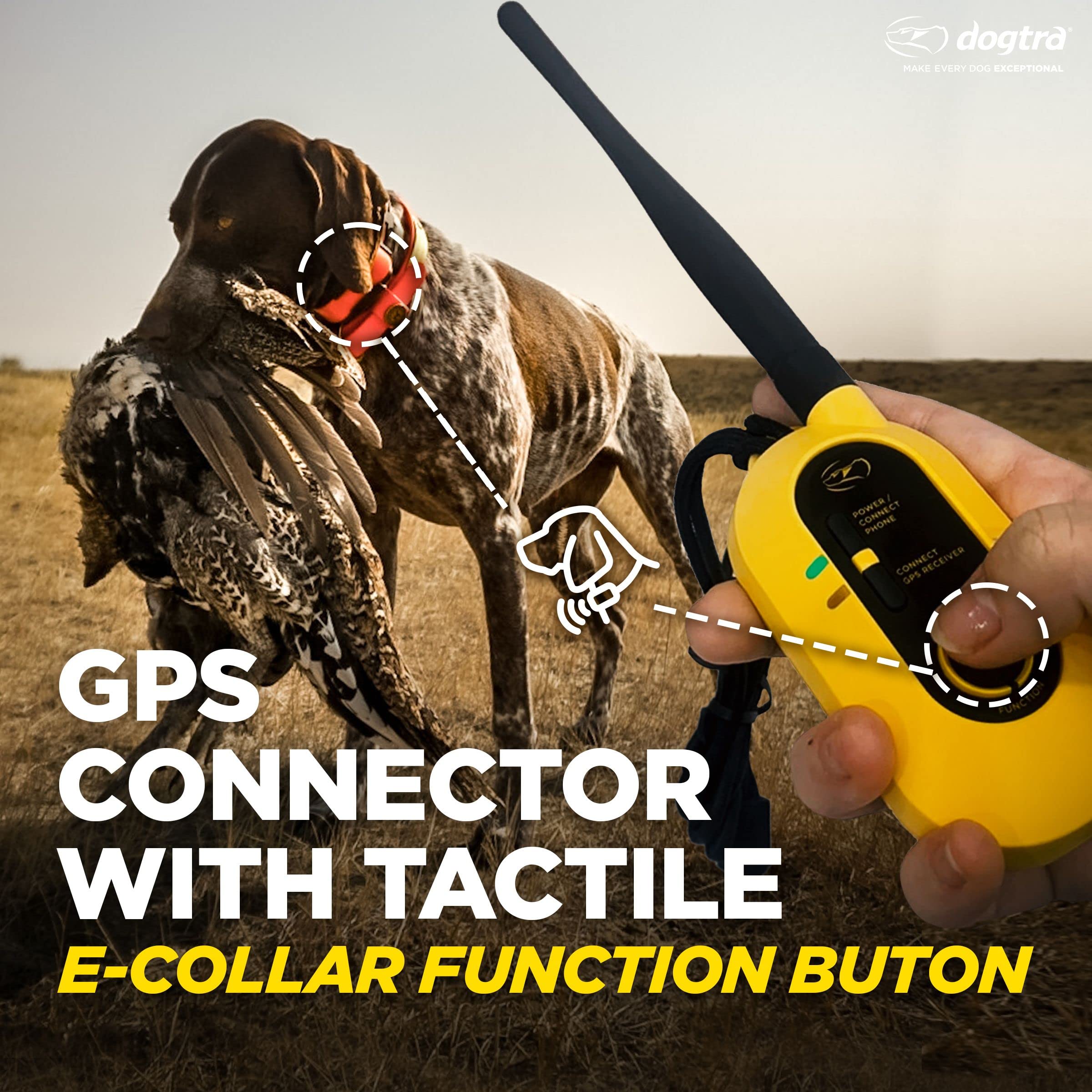 Dogtra Pathfinder 2 elite tracking with multi-dog capability in action