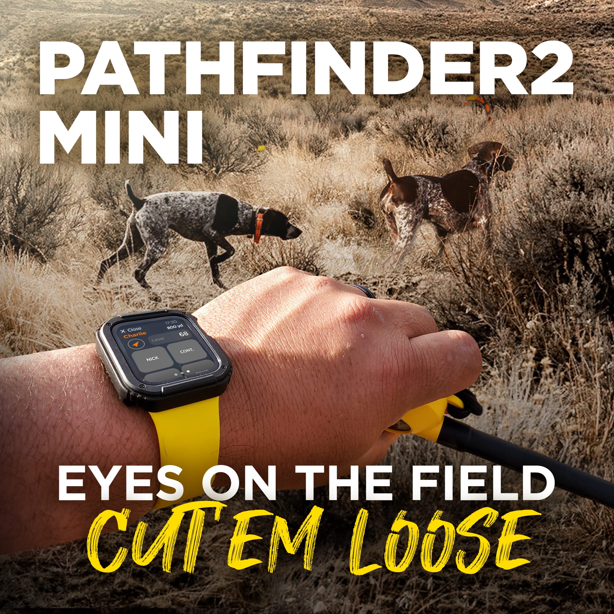 Dogtra PATHFINDER2 live-tracking map view supports quick decision making on trails.