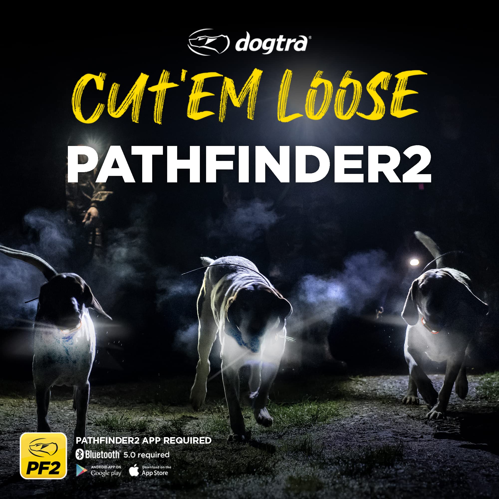 Dogtra PATHFINDER2 long-range coverage supports extended monitoring across large properties.