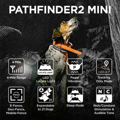 Dogtra PATHFINDER2 MINI with green LED light enhances visibility during dusk tracking.