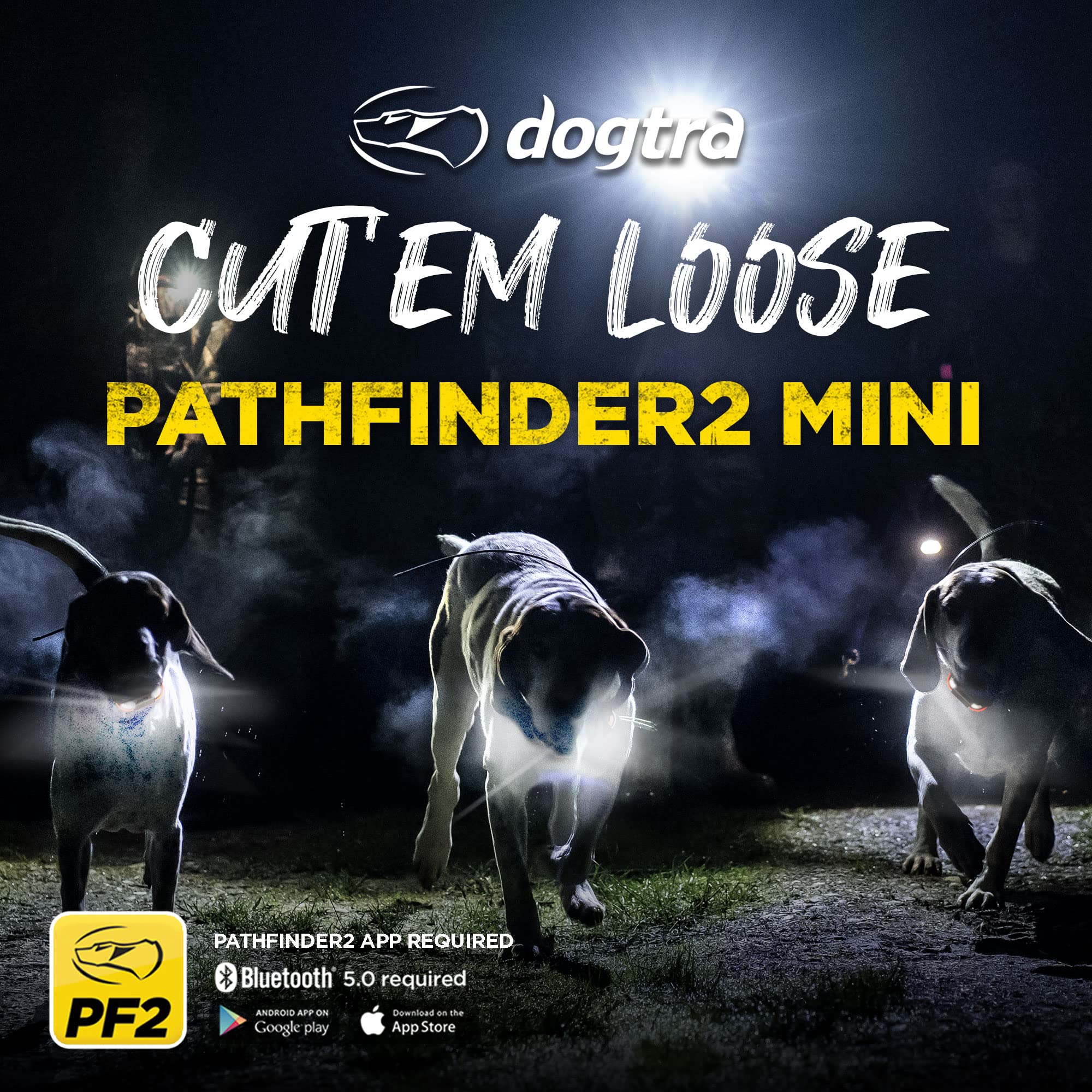 Dogtra Pathfinder2 Mini LED locate light help locating collar