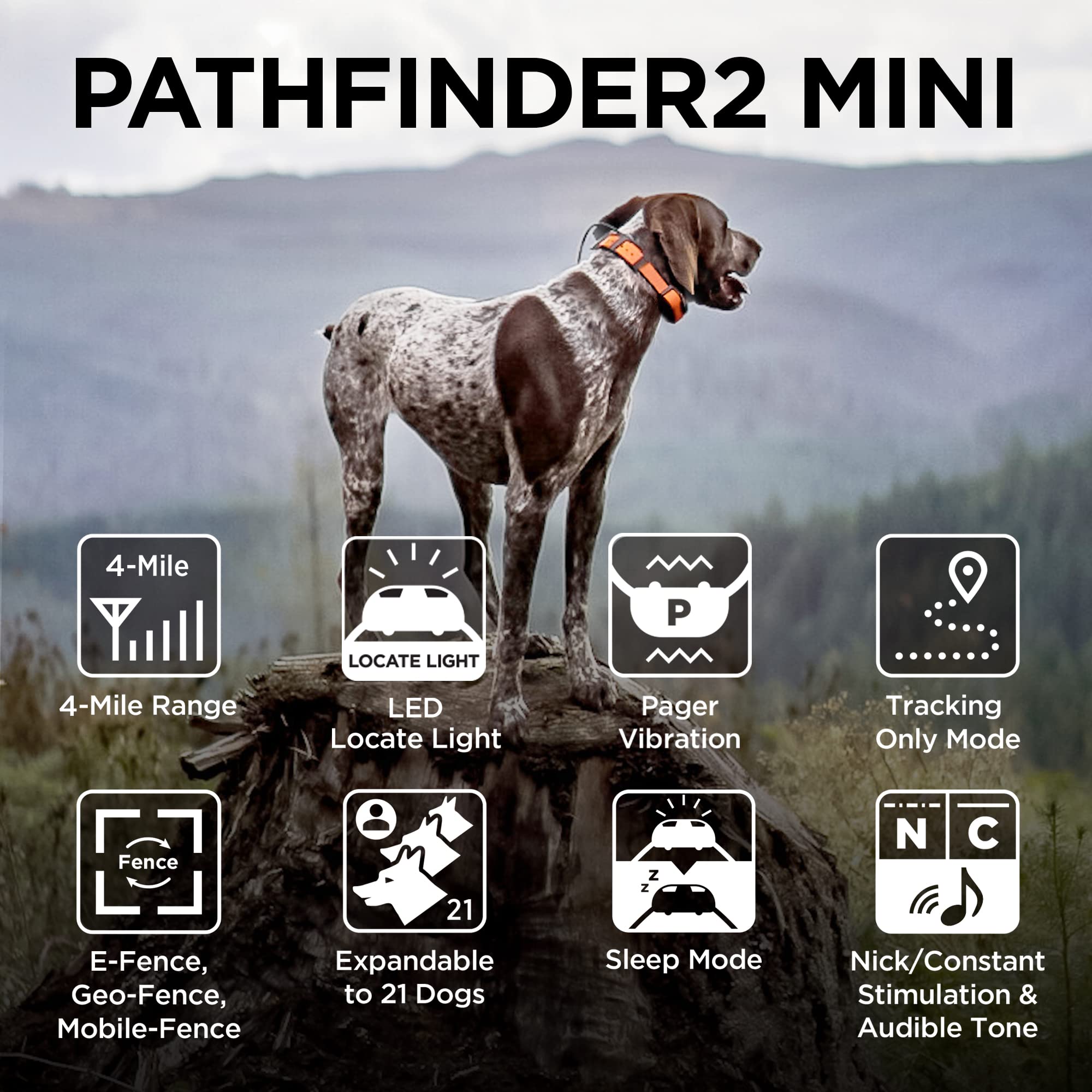 Dogtra Pathfinder2 Mini smartwatch control for convenient tracking