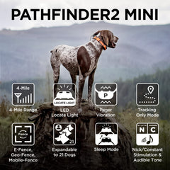 Dogtra Pathfinder2 Mini smartwatch control for convenient tracking