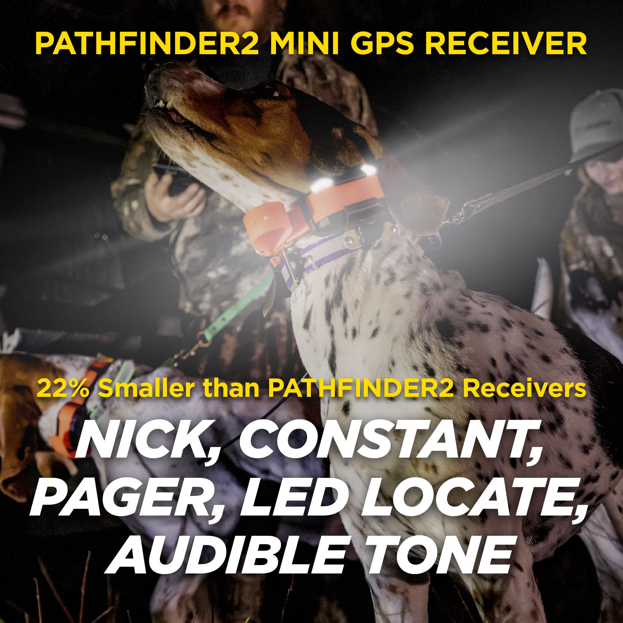 Dogtra PATHFINDER2 smartwatch control image highlights freedom from phones during outdoor hunts.
