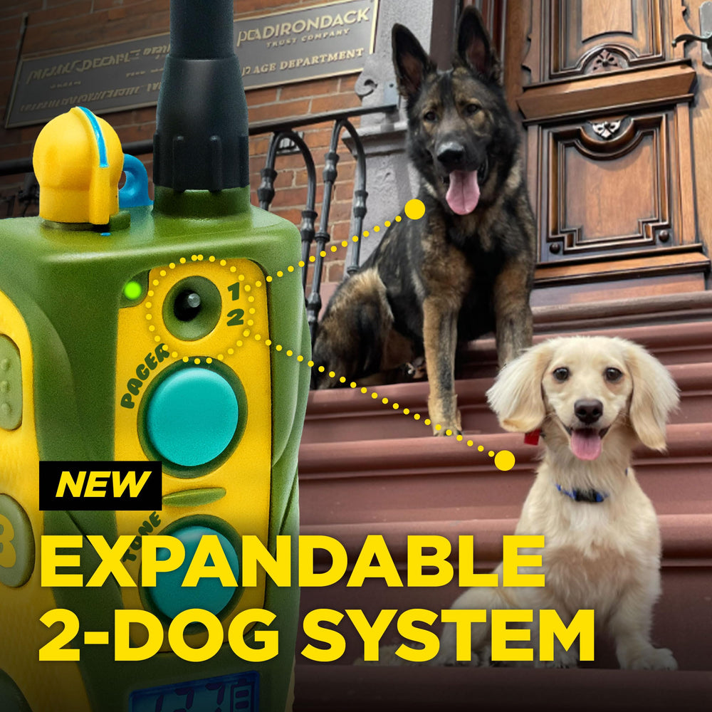 Dogtra rechargeable e collar ensures long practice sessions