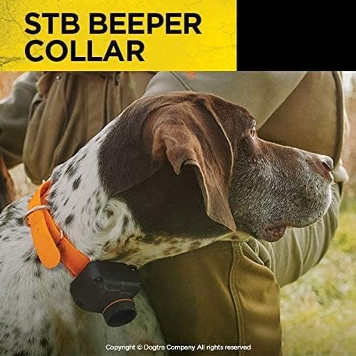 Dogtra STB Beeper Collar Hawk Version waterproof-rating indicates IPX9K durability in rain and spray.
