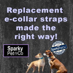Dogtra strap shows 30 inch length for easy neck adjustments.