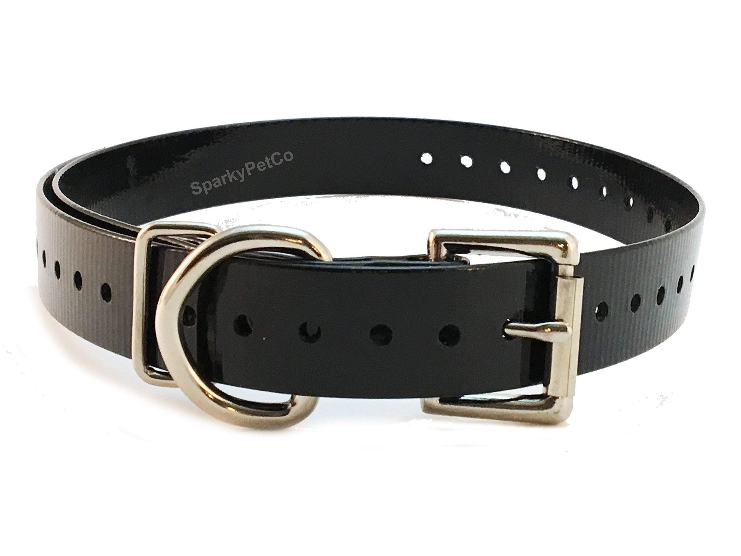 Dogtra strap black 3/4 inch wide for durable daily wear on large dogs.