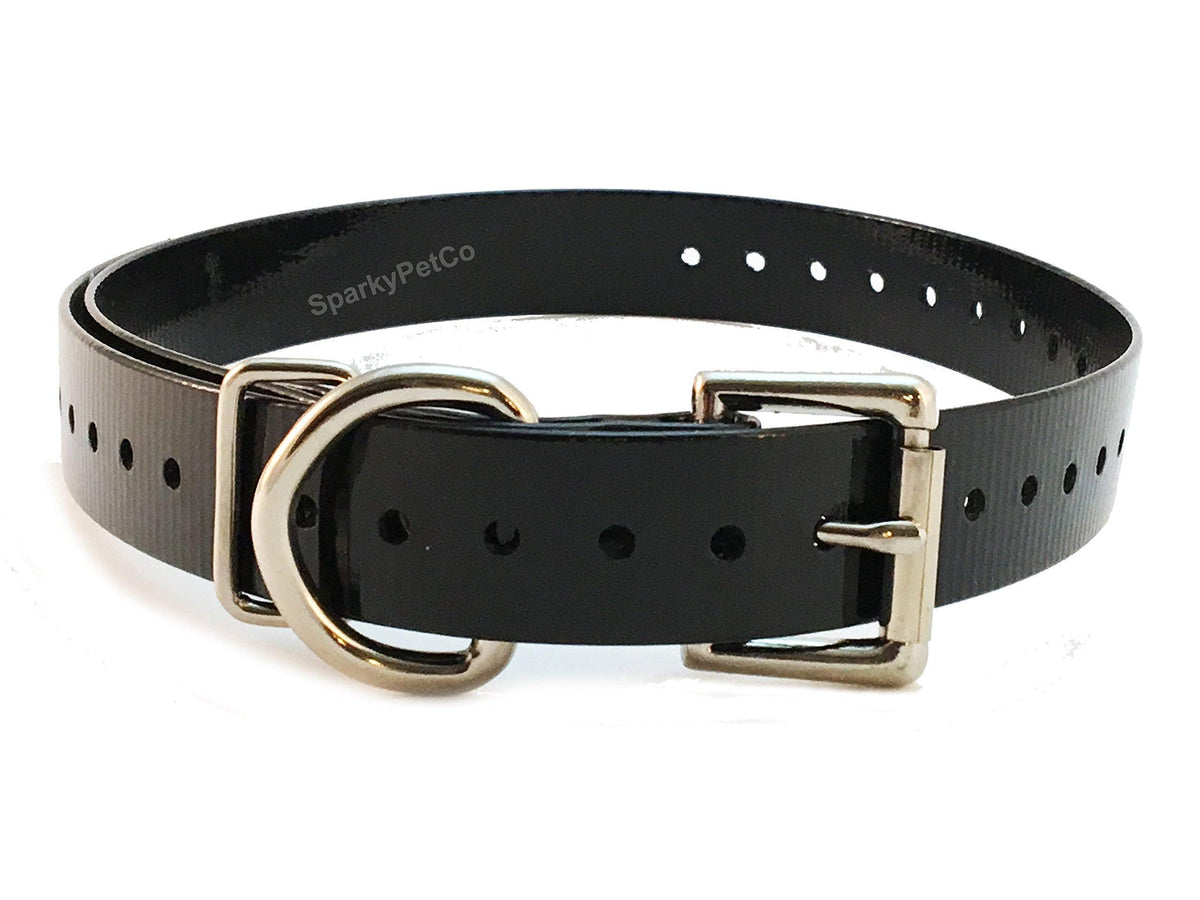 Dogtra strap black 3/4 inch wide for durable daily wear on large dogs.