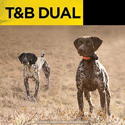 Dogtra T&amp;B compact transmitter keeps control within easy reach.