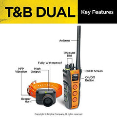 Dogtra T&amp;B OLED screen displays precise levels at a glance.