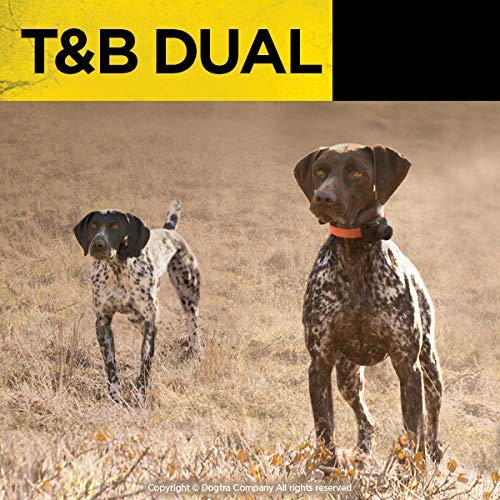 Dogtra T&amp;B dual receiver horn reduces bulk for a streamlined wear.