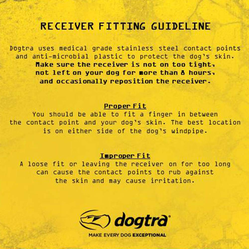 Dogtra T&amp;B dual-dog training setup enhances upland gun dog training.
