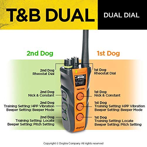 Dogtra T&amp;B IPX9K waterproof body handles wet conditions.