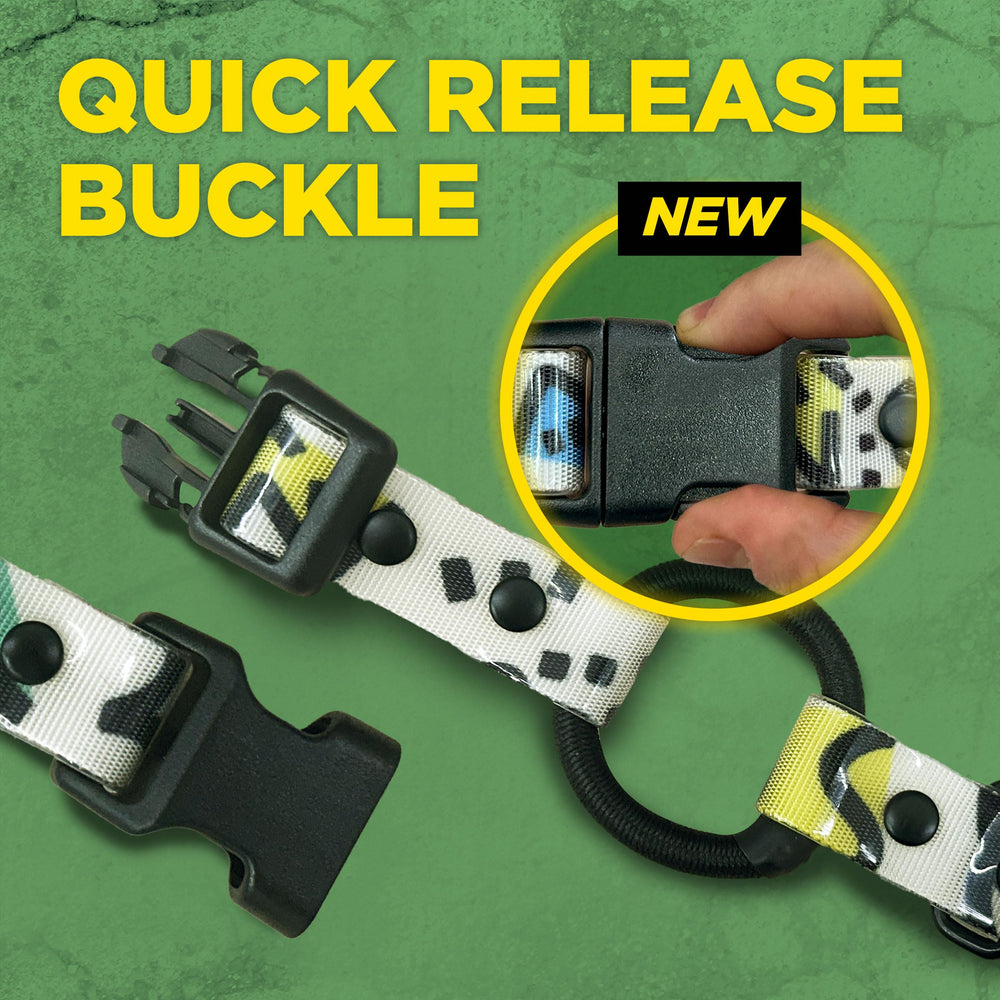 Dogtra vibration and bungee cues add variety to training methods