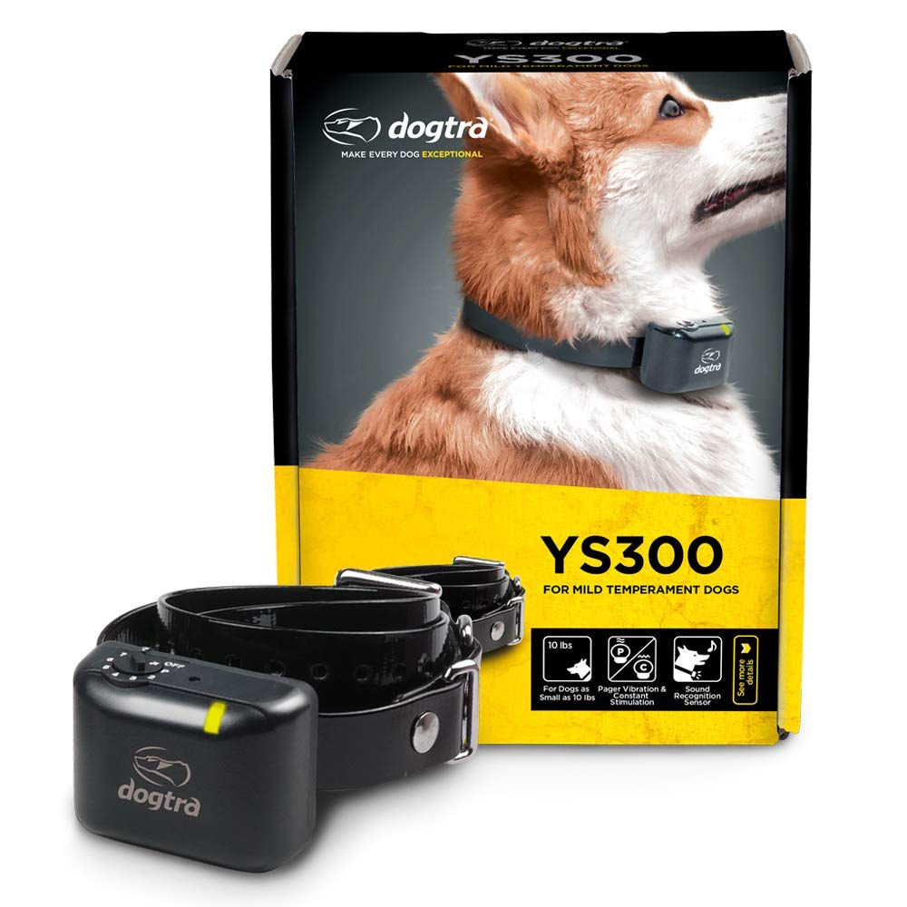Dogtra YS300 bark collar top view for daily training