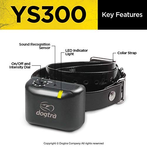 Dogtra YS300 IPX9K waterproof receiver ready for tough weather