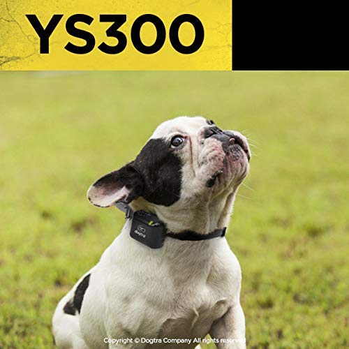 Dogtra YS300 rechargeable battery charging to full power quickly