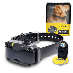 Dogtra YS600 collar worn by a dog during real-world bark control.