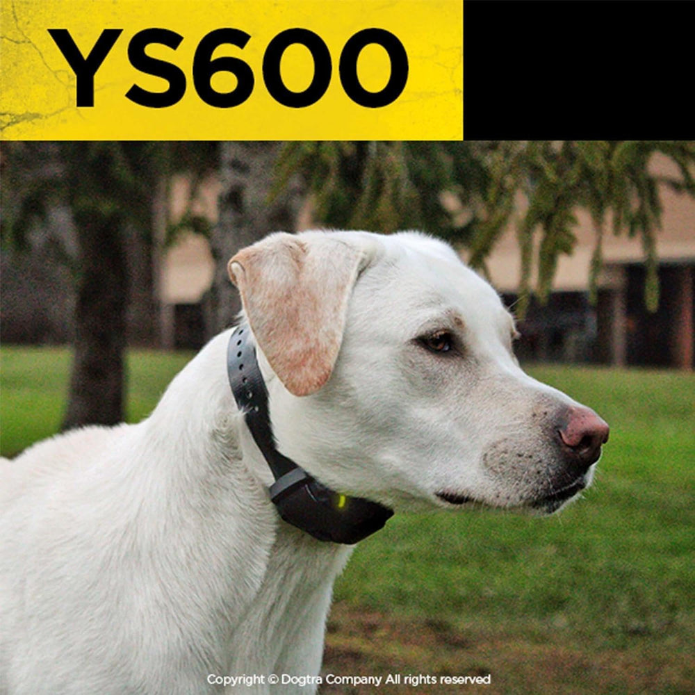 Dogtra YS600 suitable for dogs over 35 pounds during training.