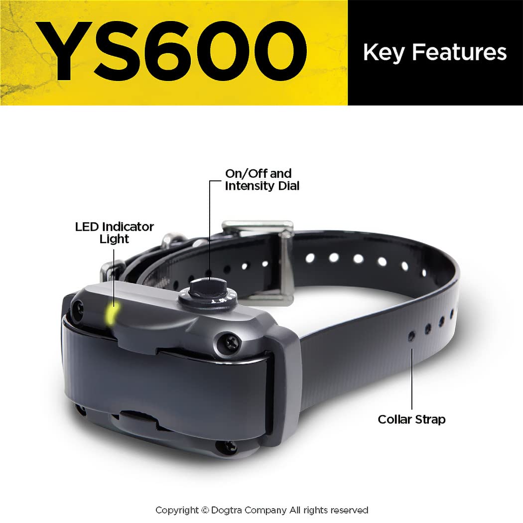 Dogtra YS600 rapid-charge battery powering quick sessions.