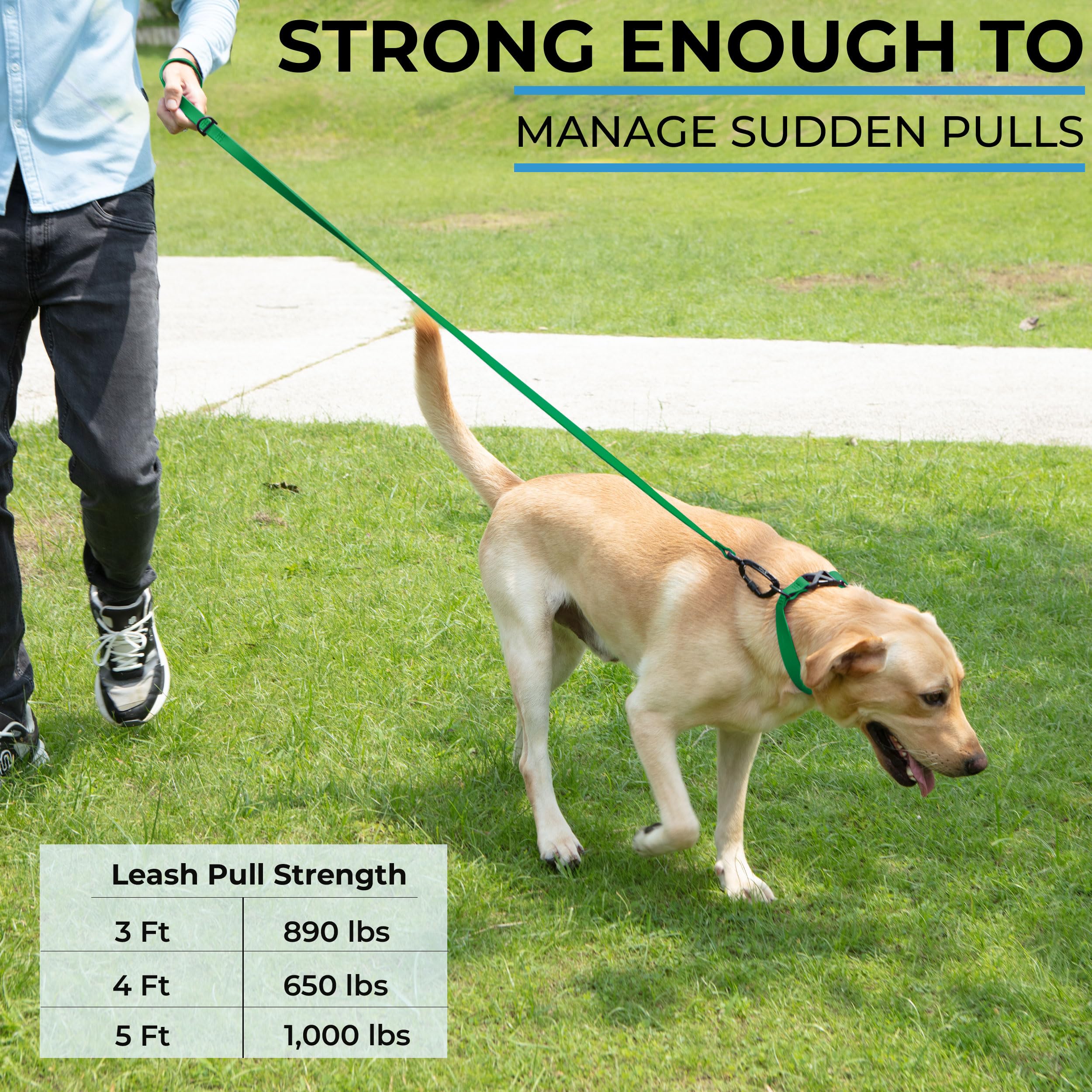 DogTraxs leash 5ft durability test illustrating strong pull resistance