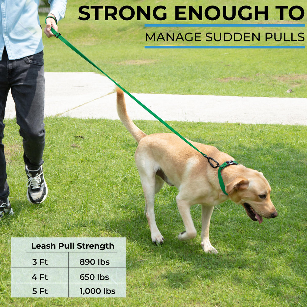 DogTraxs leash 5ft durability test illustrating strong pull resistance