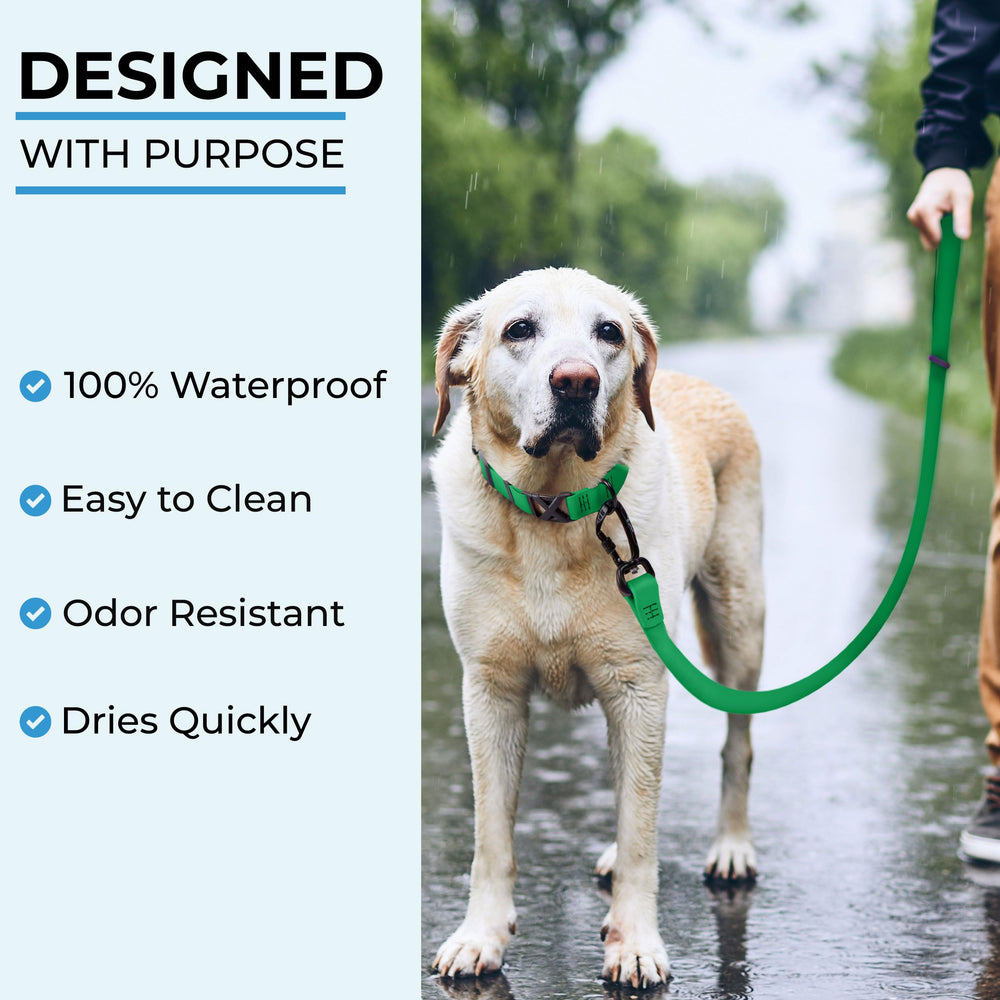 DogTraxs biothane leash green color variant for stylish outdoor walks