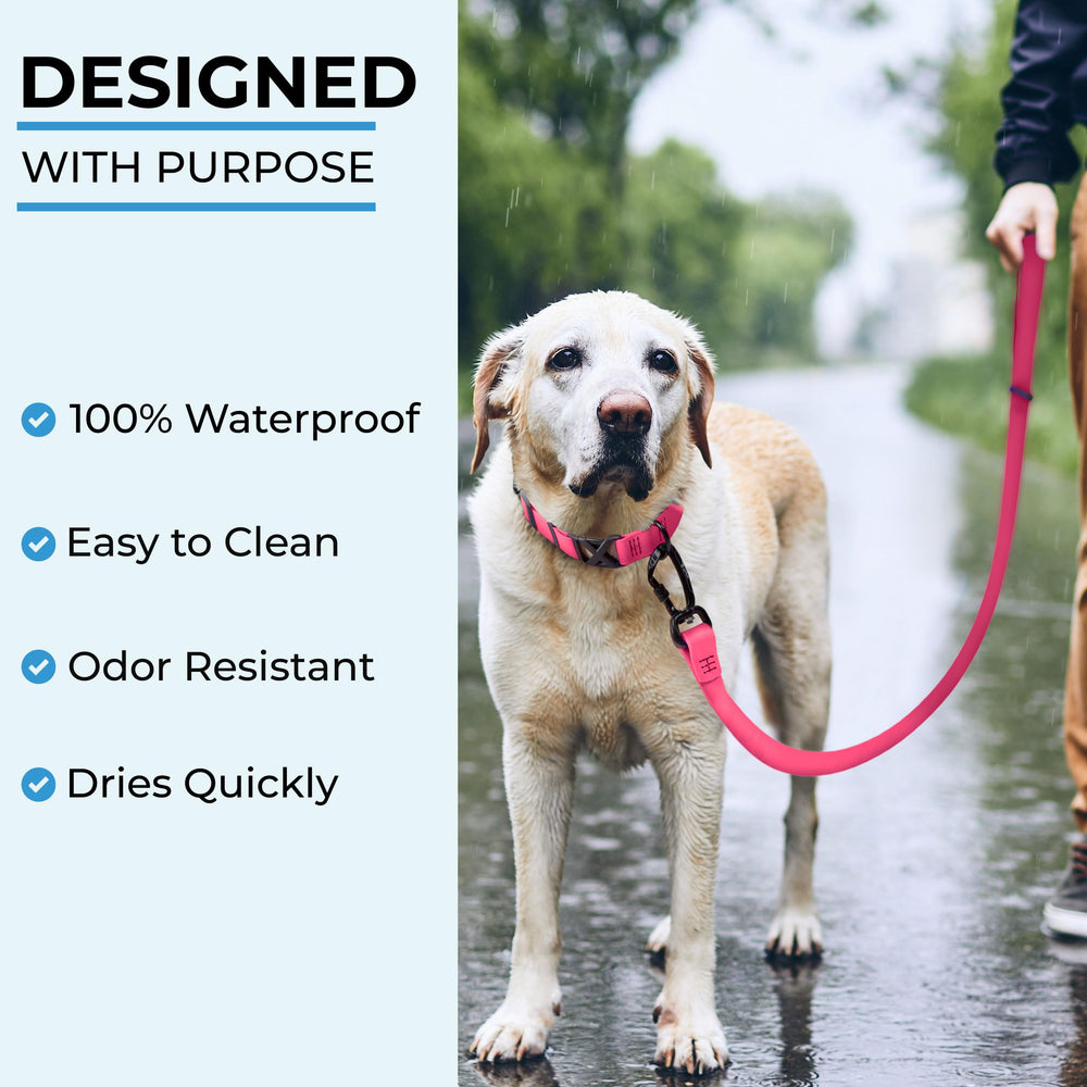DogTraxs Biothane leash pink UV-resistant color that stays vibrant