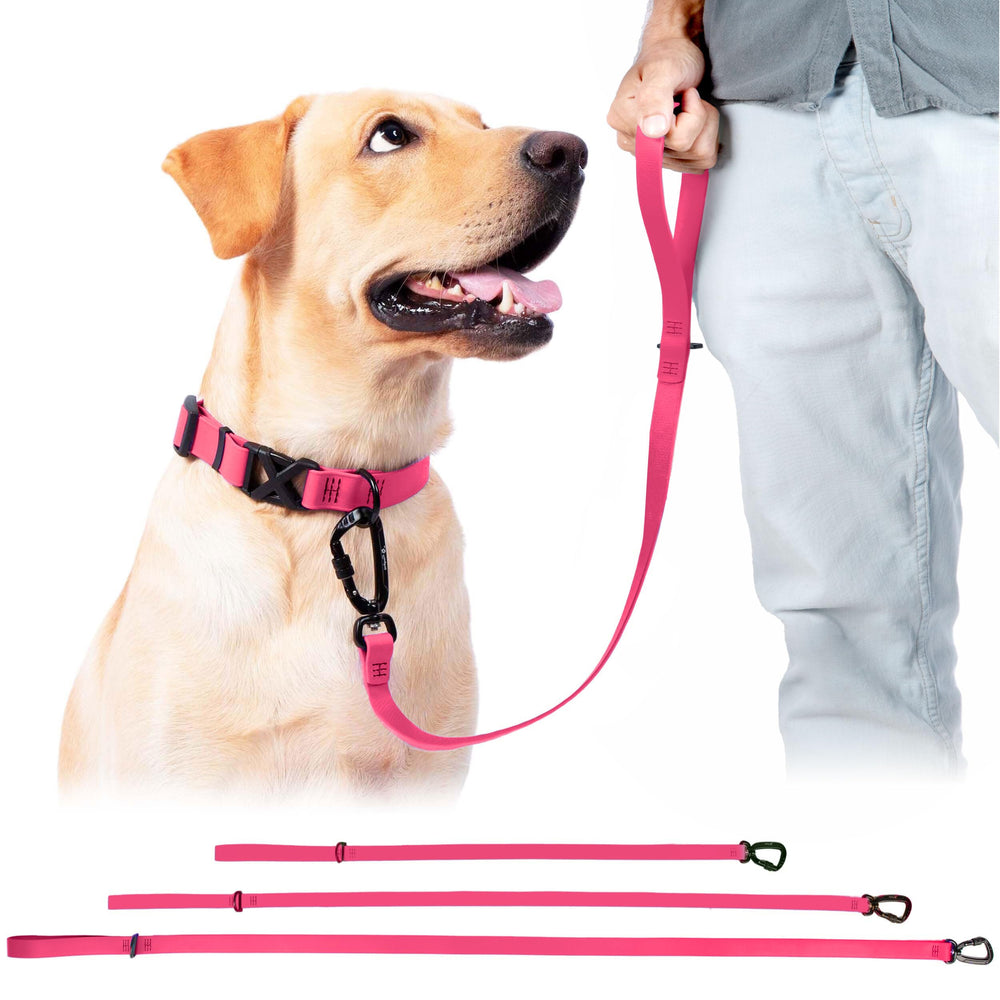 DogTraxs Biothane leash pink waterproof odor-proof finish for all-weather reliability