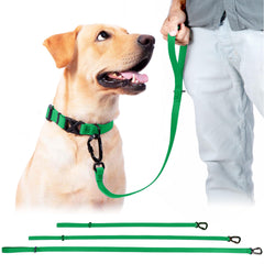 DogTraxs biothane leash waterproof odorproof green demonstrates all-weather reliability