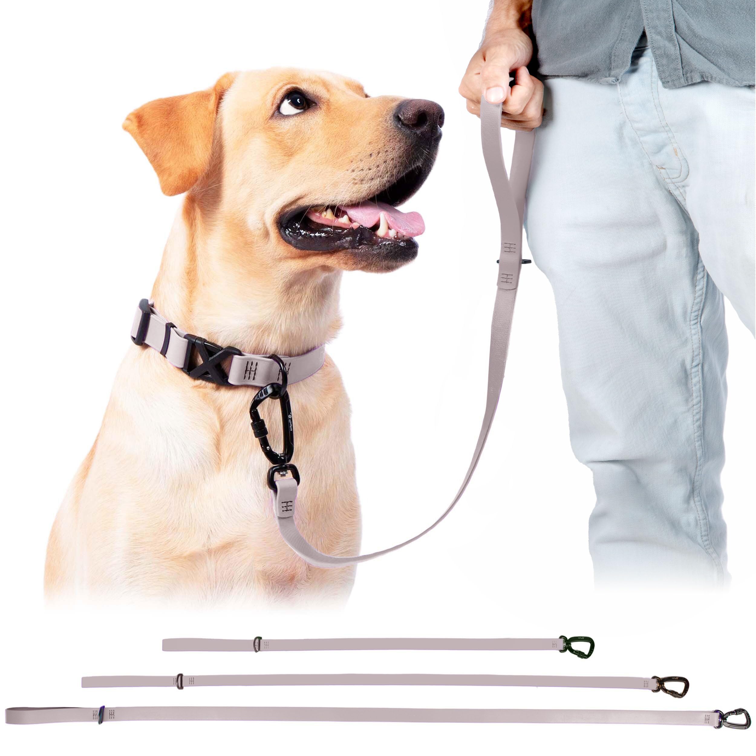 DogTraxs Biothane leash demonstrates waterproof, odor-resistant surface for all-weather use.